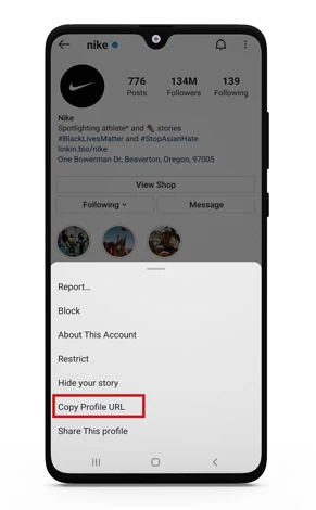 instagram profile pic viewer