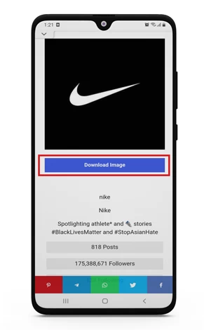 download instagram profile picture full size online 
