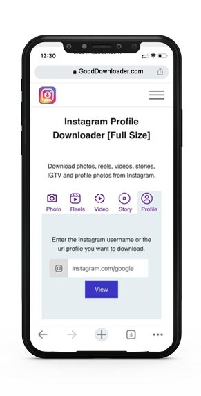 instagram profile picture viewer url