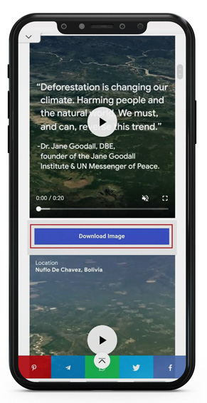 instagram reel downloader
