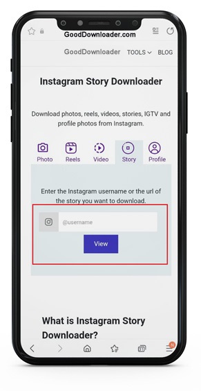 instagram story download